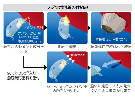 シージェットSEAJET033プレミアム 2Ｌ 各色 【中国塗料】